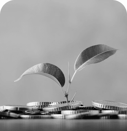 Coins and plant